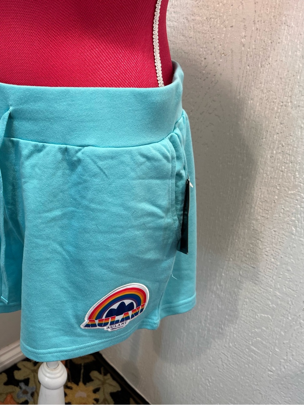 Disney’s Aulani Pride Collection Blue Sweat-shorts - L
